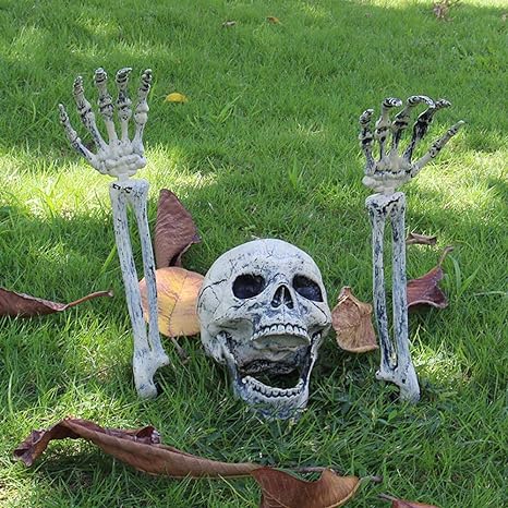 skeleton