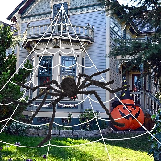 spider