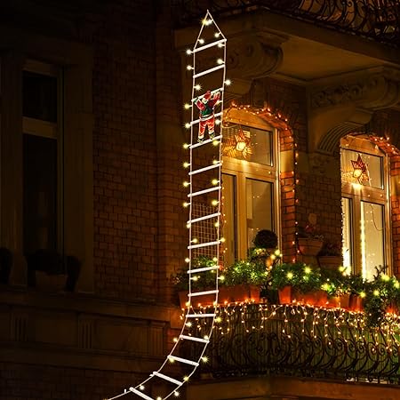 ladder2