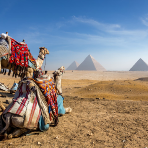 HYPNOTIC EGYPTIAN SUMMER VIBES